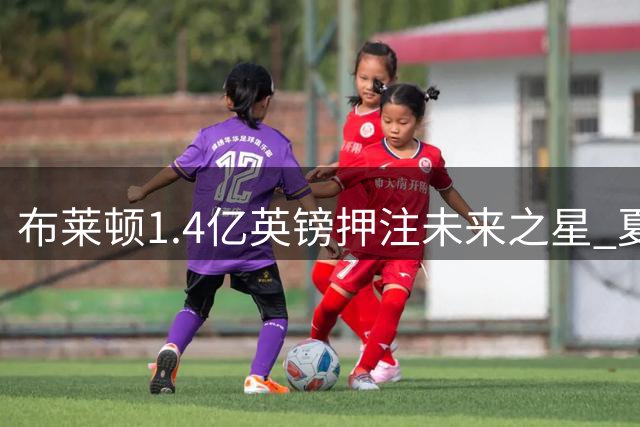 布莱顿1.4亿英镑押注未来之星 夏窗9新援暗藏经营哲学